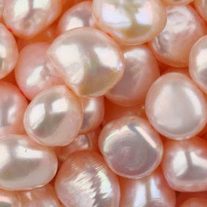 Meet your Posher, Sonja